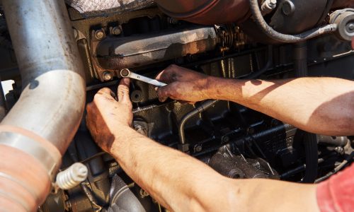 WhatsApp Image 2025-01-21 at 14.24.13_fd201301